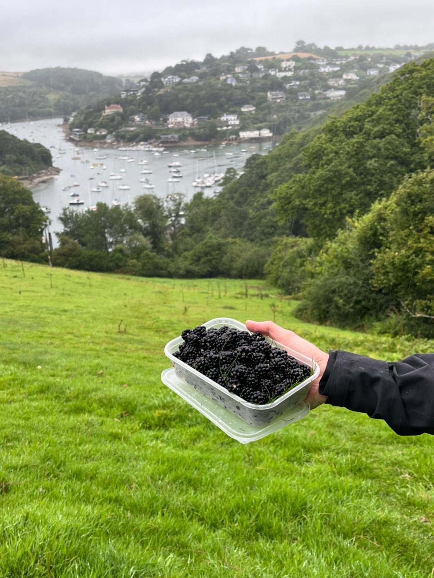 Pilchards Cottage Noss Mayo 외부 사진